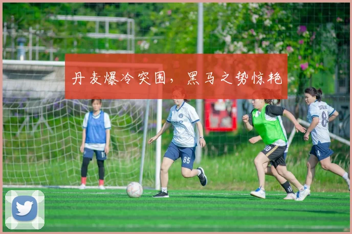 丹麦爆冷突围，黑马之势惊艳