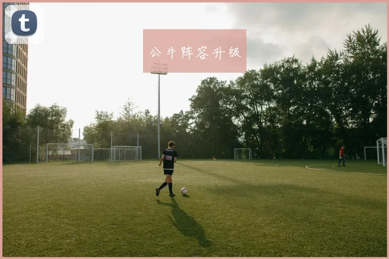 公牛阵容升级