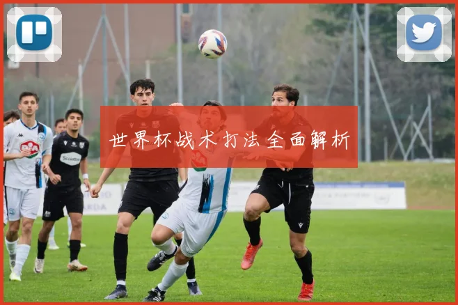 世界杯战术打法全面解析