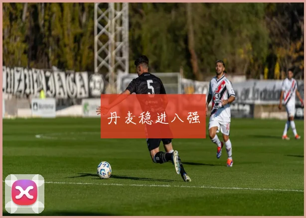 丹麦稳进八强